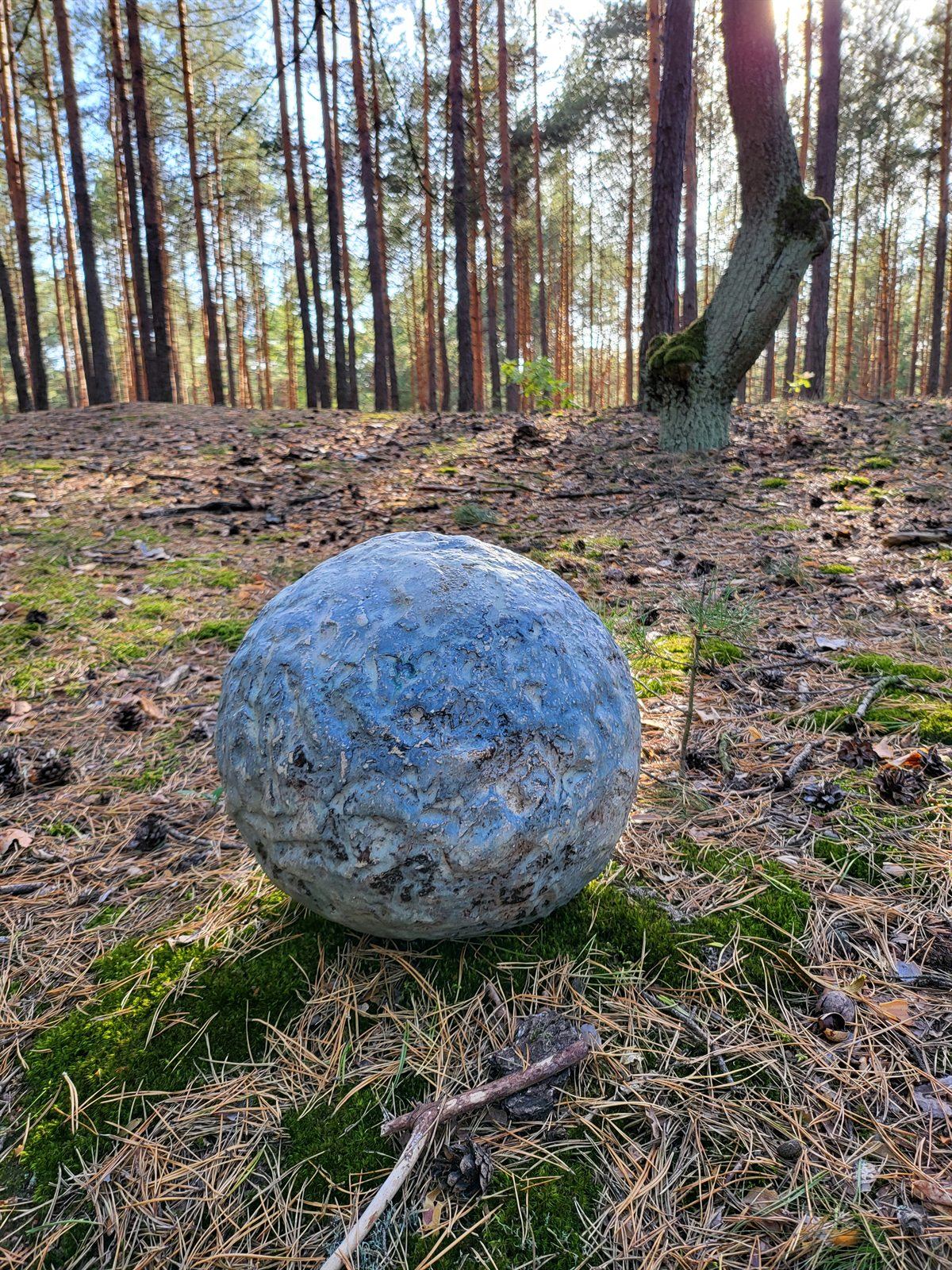 Kula na dnie sosnowego lasu, pod światło, wśród mchu i igliwia